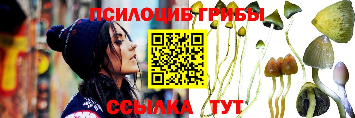 Псилоцибиновые грибы прущие грибы  купить наркотик  Псилоцибиновые грибы Magic Shrooms  Киров  Вход с VPN 